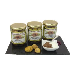 Marrons de l'Aveyron