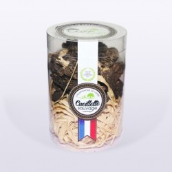Morilles séchées