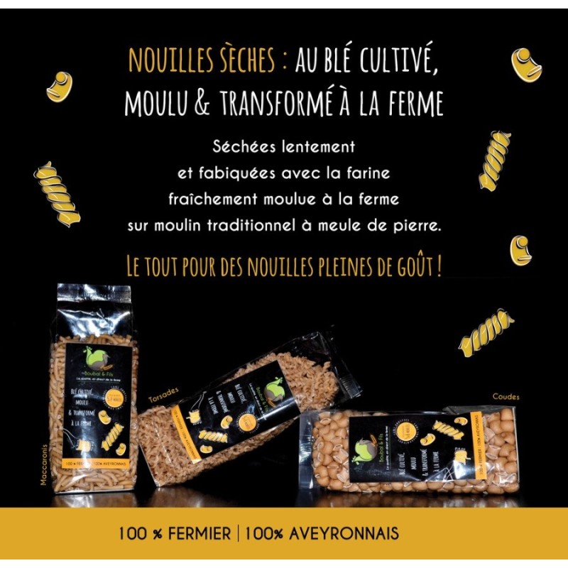 Nouilles séchées Coquillage