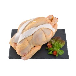 Poulet de ferme