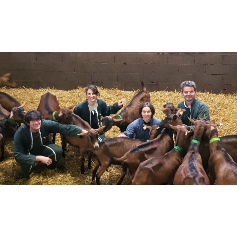 Chevreaux Ferme des Chèvres de Coubisou