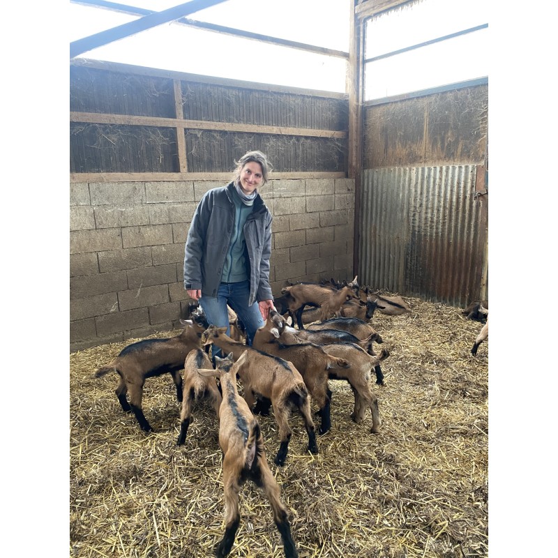 Chevreaux Ferme des Chèvres de Coubisou