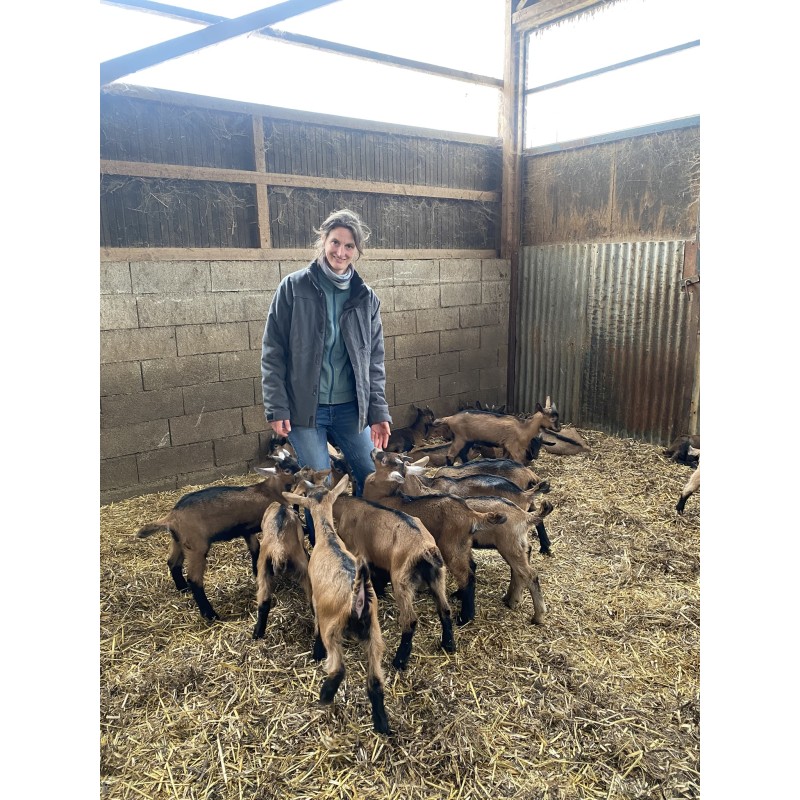 Chevreaux Ferme des Chèvres de Coubisou