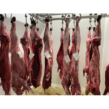 Sanglier entier sans couenne