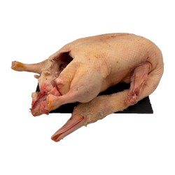 Canard entier avec cou sans foie