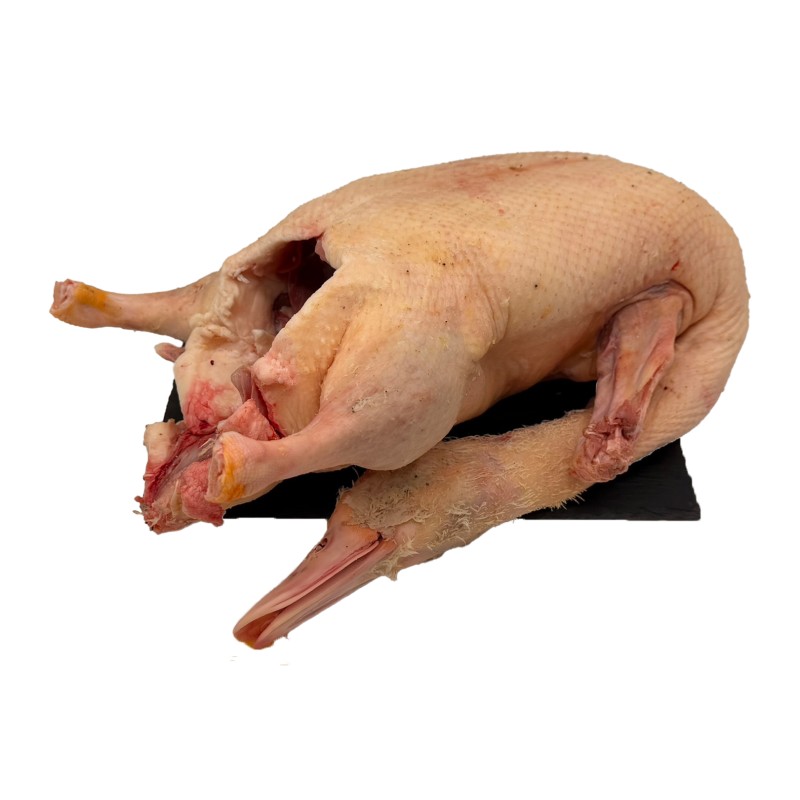 Canard entier avec cou sans foie