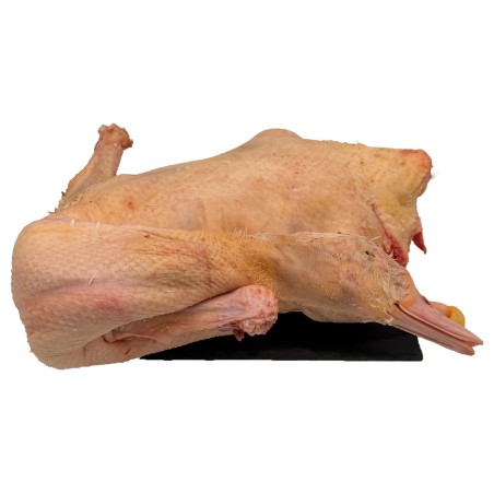 Canard entier avec cou sans foie