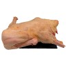 Canard entier avec cou sans foie