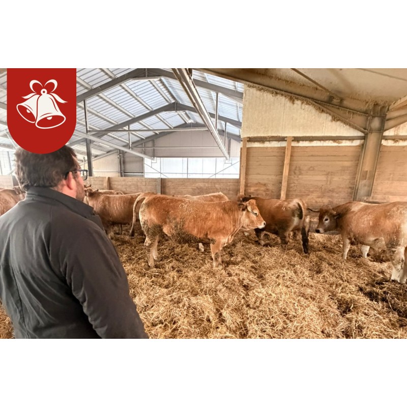 Véritable Boeuf de Pâques